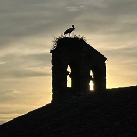 Bico De Rodas A Rural Luxury Holiday home *