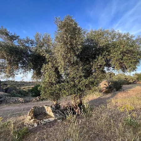 Bico De Rodas A Rural Luxury Holiday home