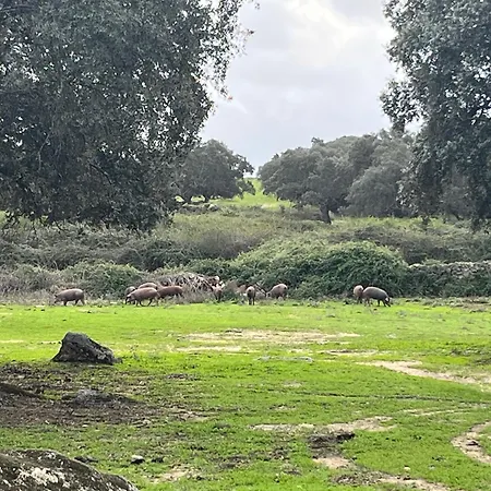 Bico De Rodas A Rural Luxury Casa vacanze *