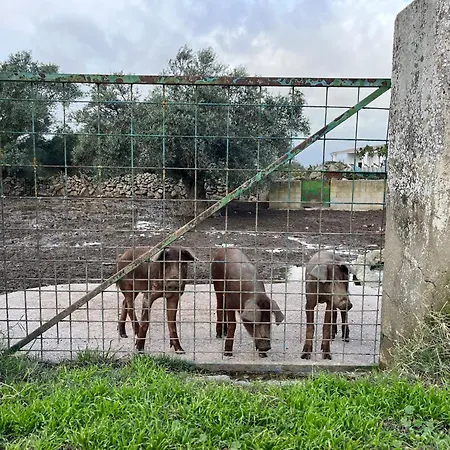 Bico De Rodas A Rural Luxury Holiday home Torrequemada