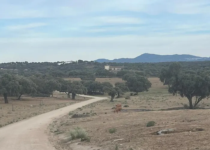 Casa vacanze Bico De Rodas A Rural Luxury