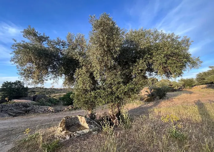 Bico De Rodas A Rural Luxury Tatil Evi