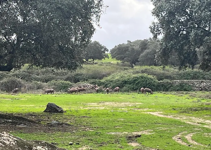 Bico De Rodas A Rural Luxury Ferienhaus *